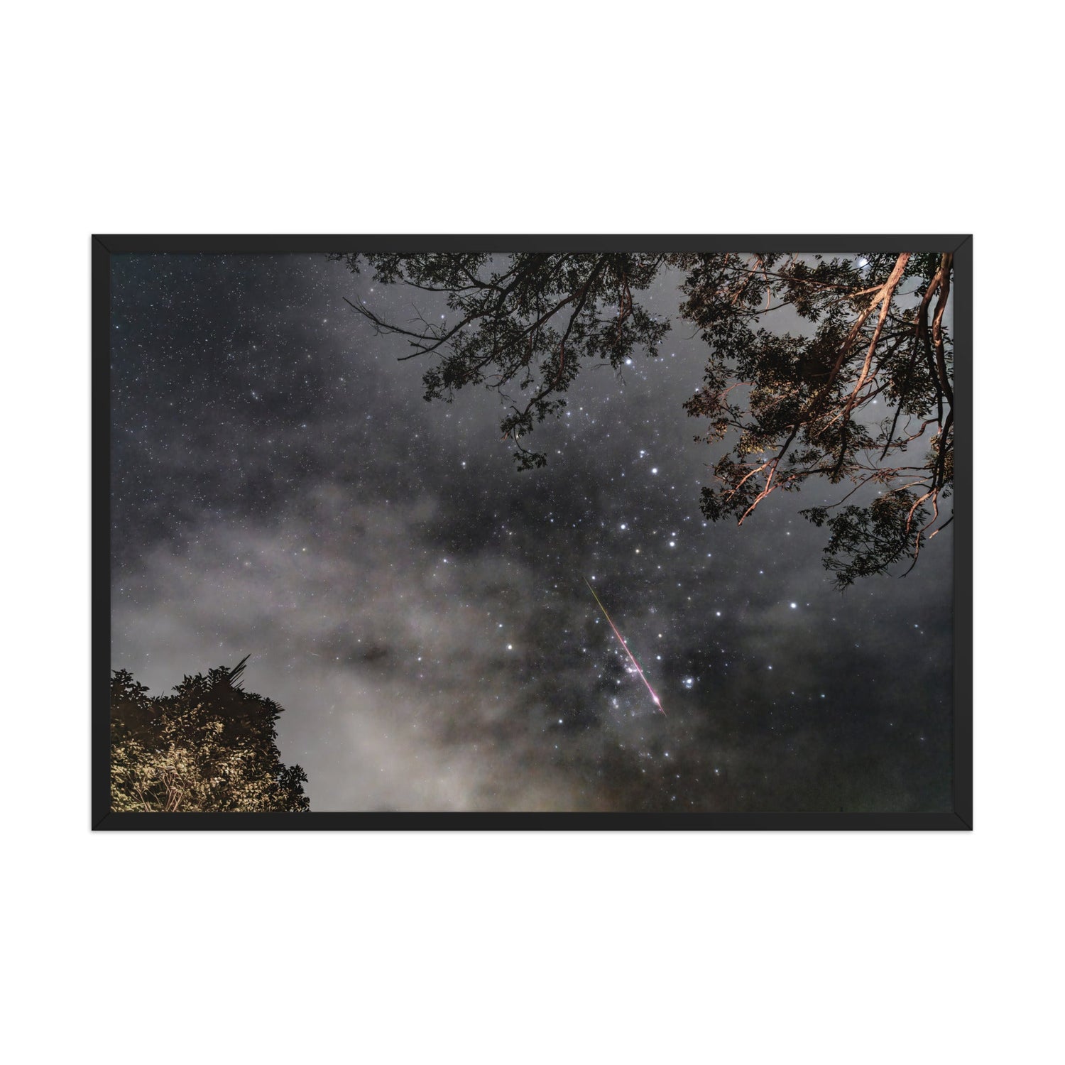 PRINTS