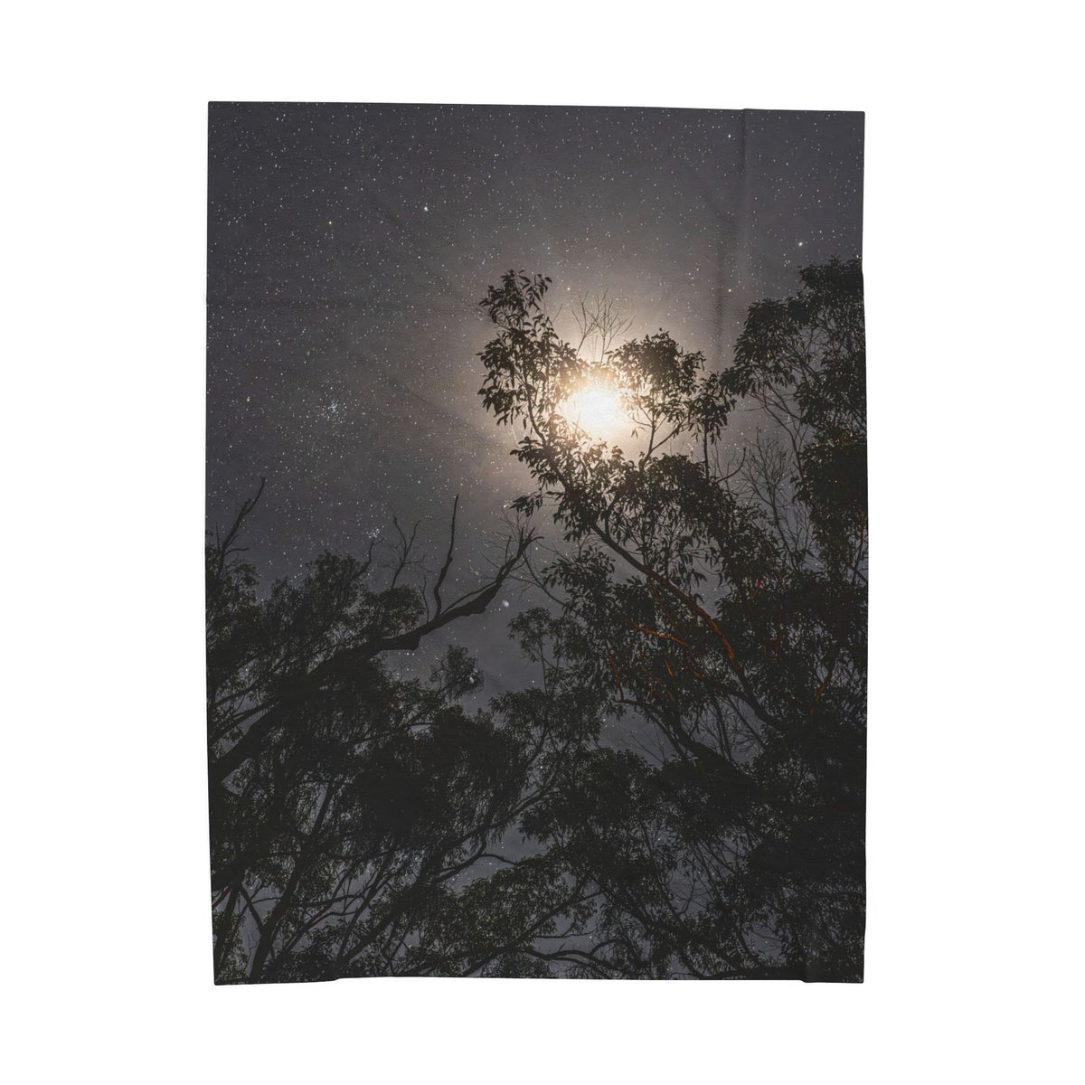 Moonlit Trees Velveteen Plush Blanket